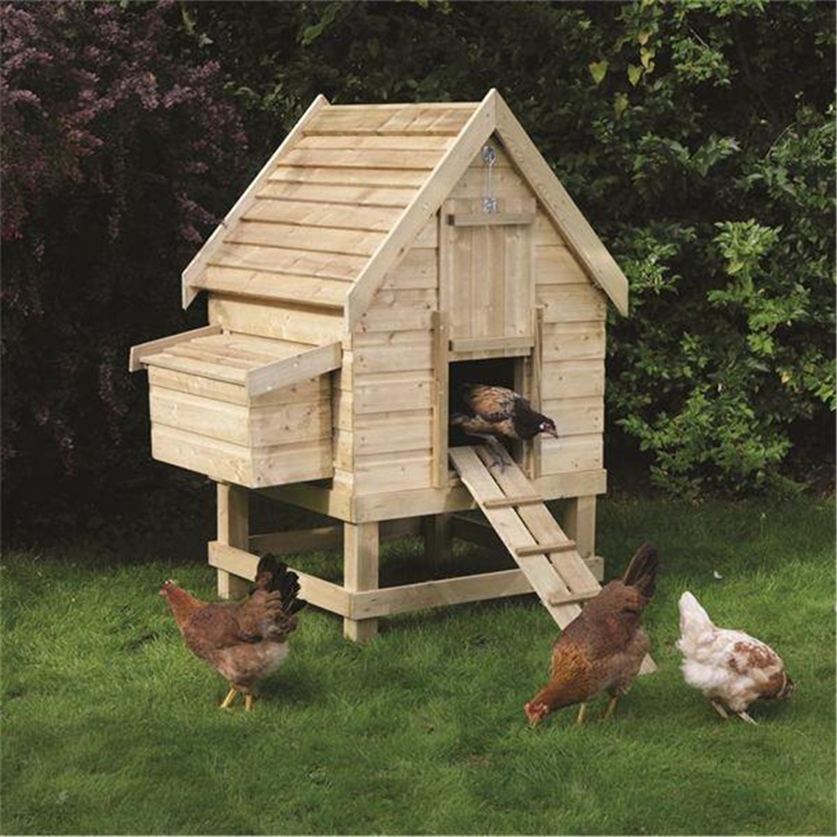 Small Chicken Coops