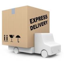 48HR + SAT Express UK Delivery